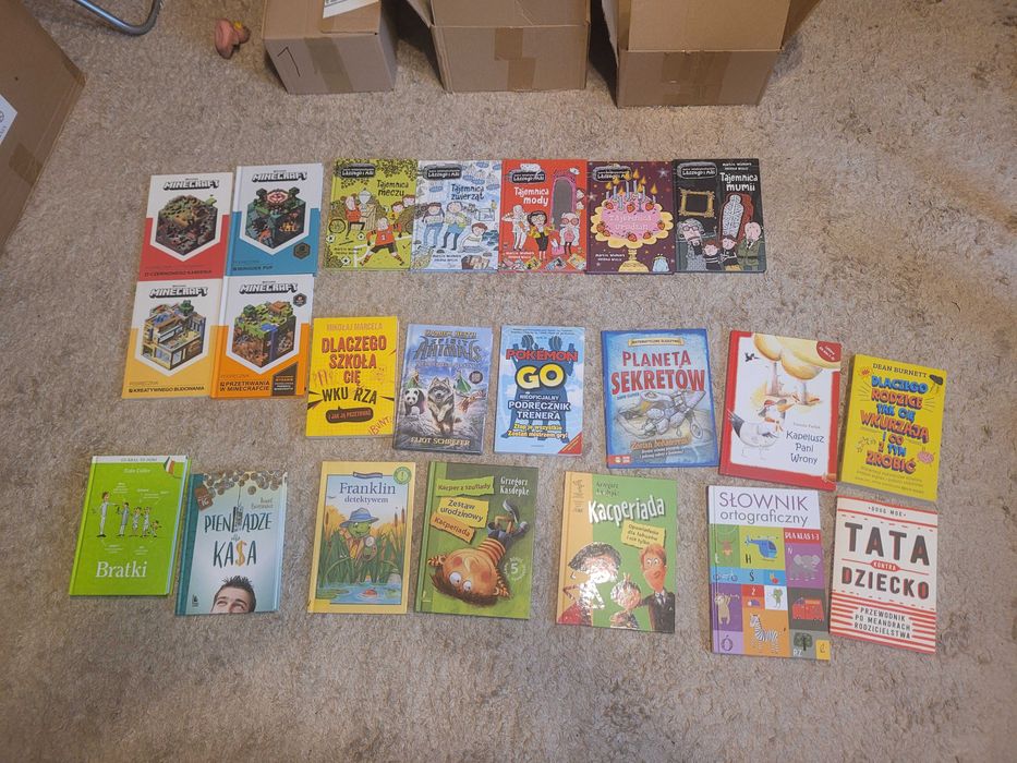 Książki minecraft, scooby doo, Pan Kuleczka, Basia,BD Lassego i Mai it
