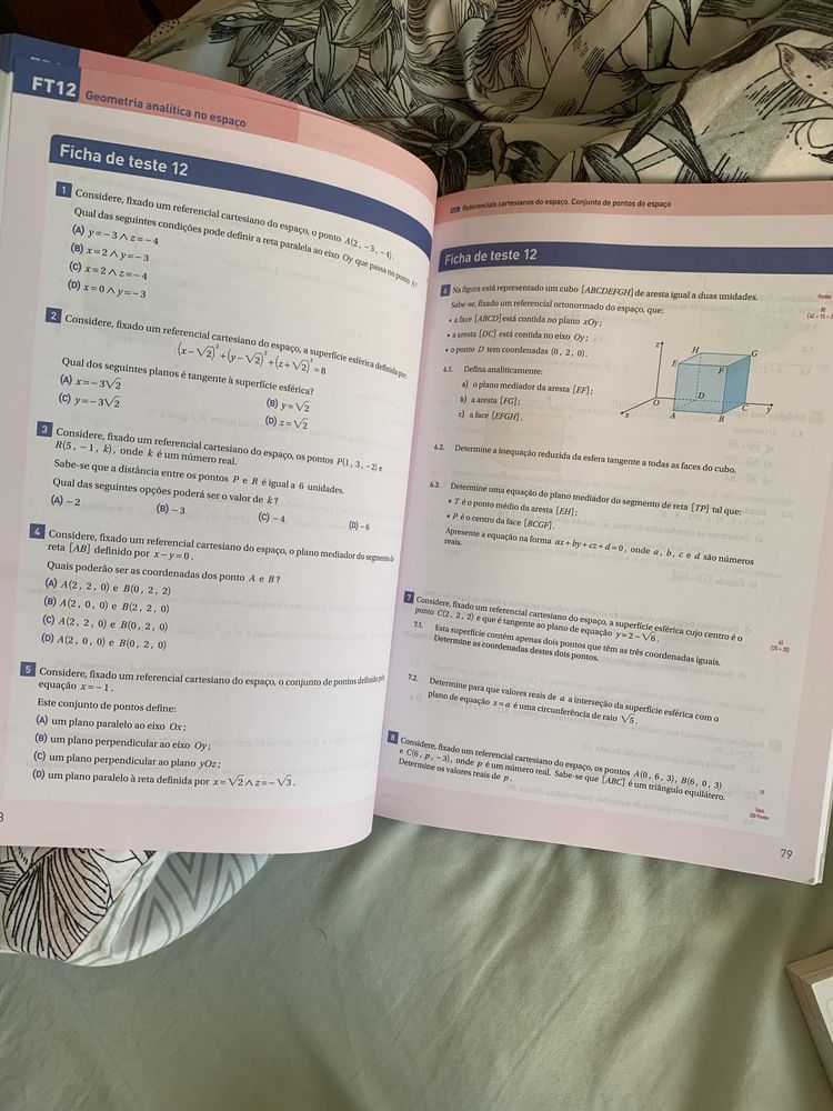 Caderno de Fichas, Matemática 10° ano