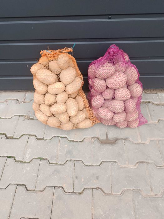 Sprzedam ziemniaki Bellarosa, Otolia