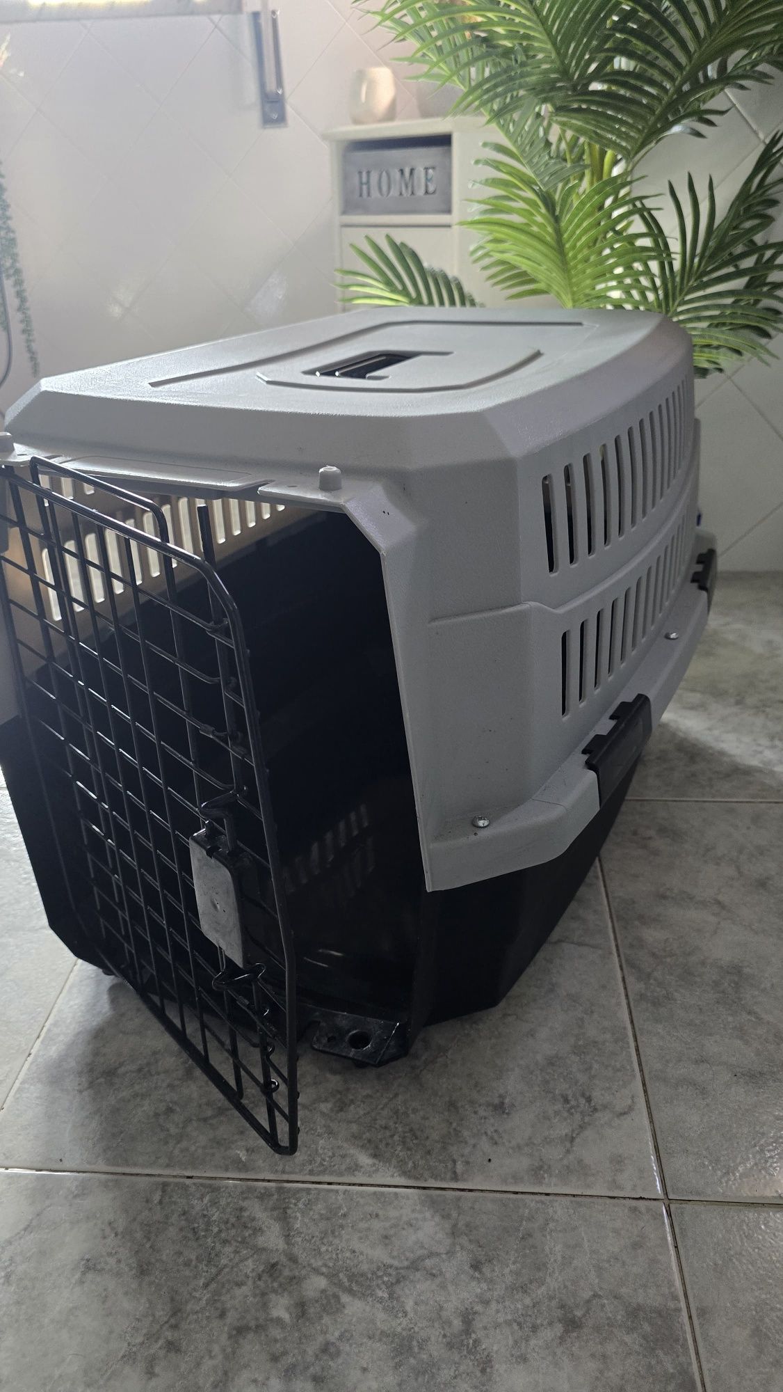 Caixa transportadora animais