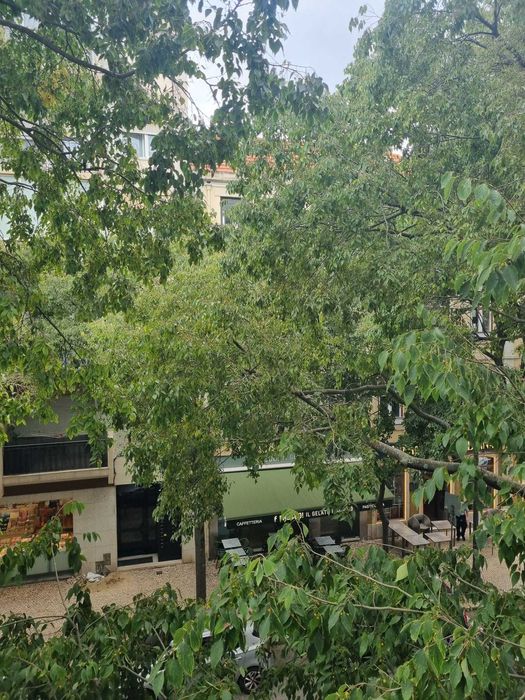Campo de Ourique T1