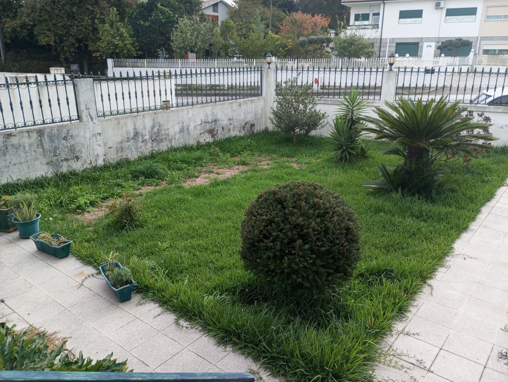 Manutenção de jardim