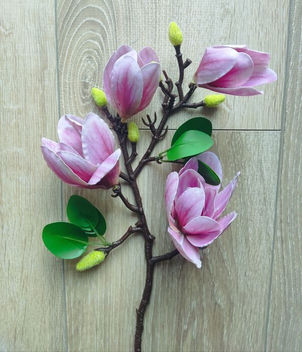 Kwiat magnolii NOWY