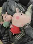 Świnka Peppa i Tata świnka