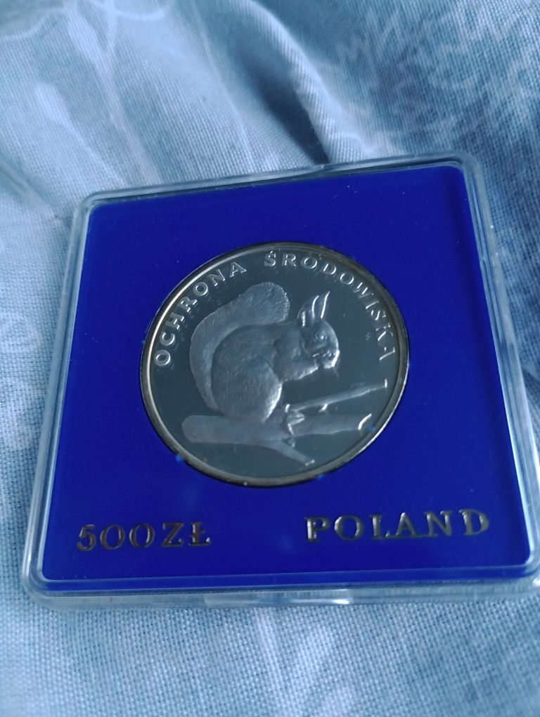 500 złotych - Ochrona środowiska - Wiewiórka