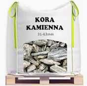 Grys dalmatyńczyk,kora kamienna