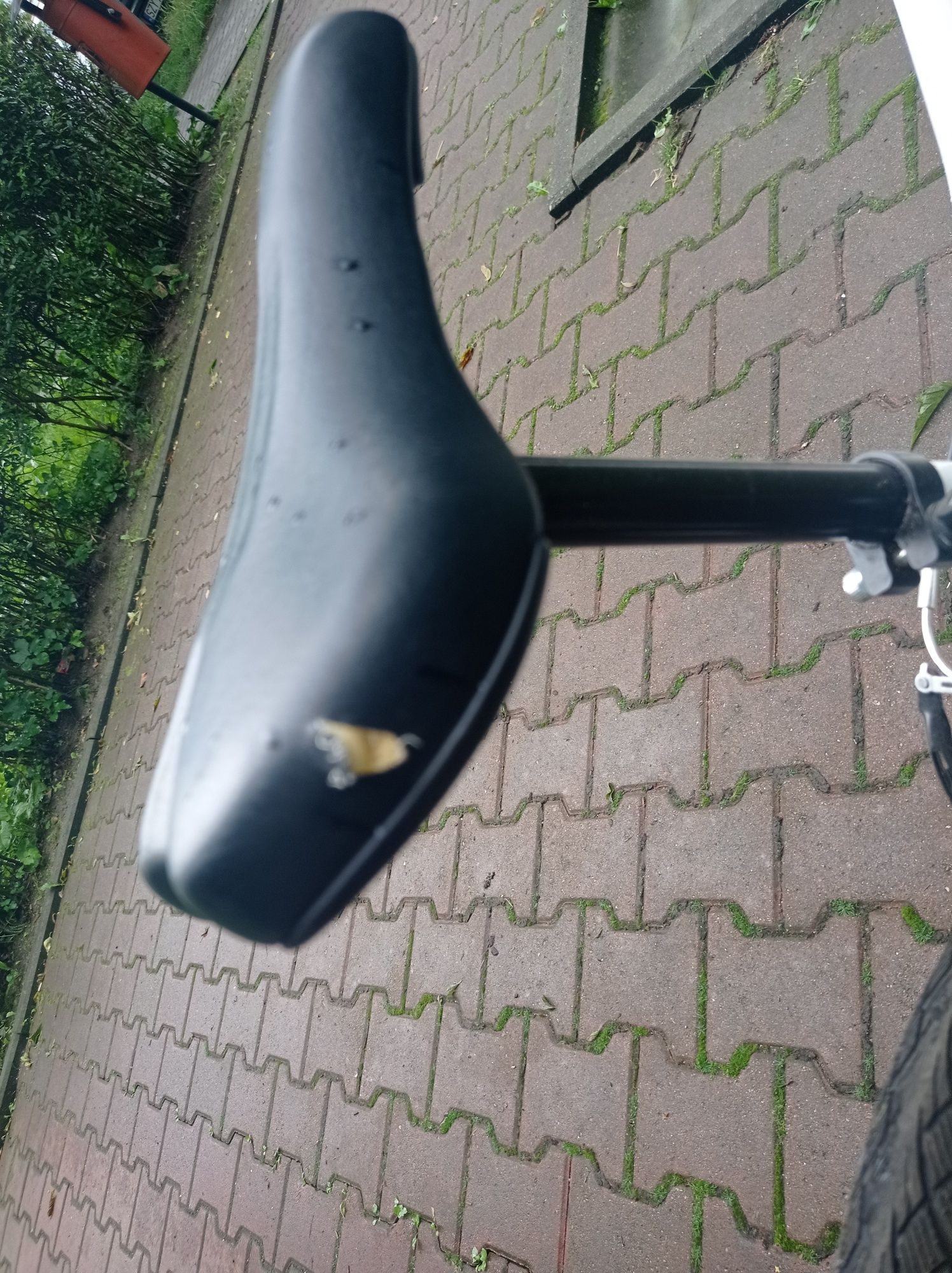 Rower 24 całe dla dziewczynki