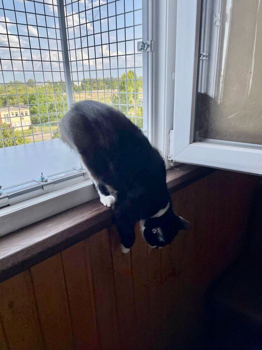 Балкон на пів стулки вікна для котиків