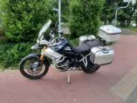 Triumph Tiger Triumph 900 Rally Pro