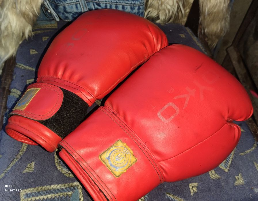 Боксерькі перчатки Boyko sport 10 oz
