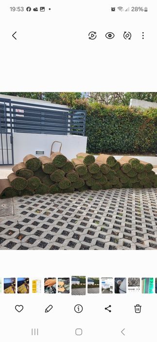 Relva natural em tapete