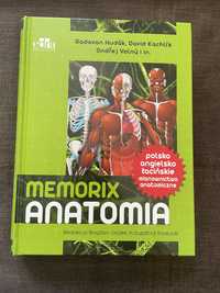 Memorix anatomia