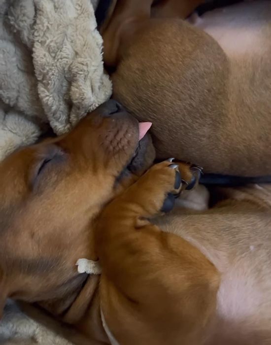 Рудий хлопчик такси