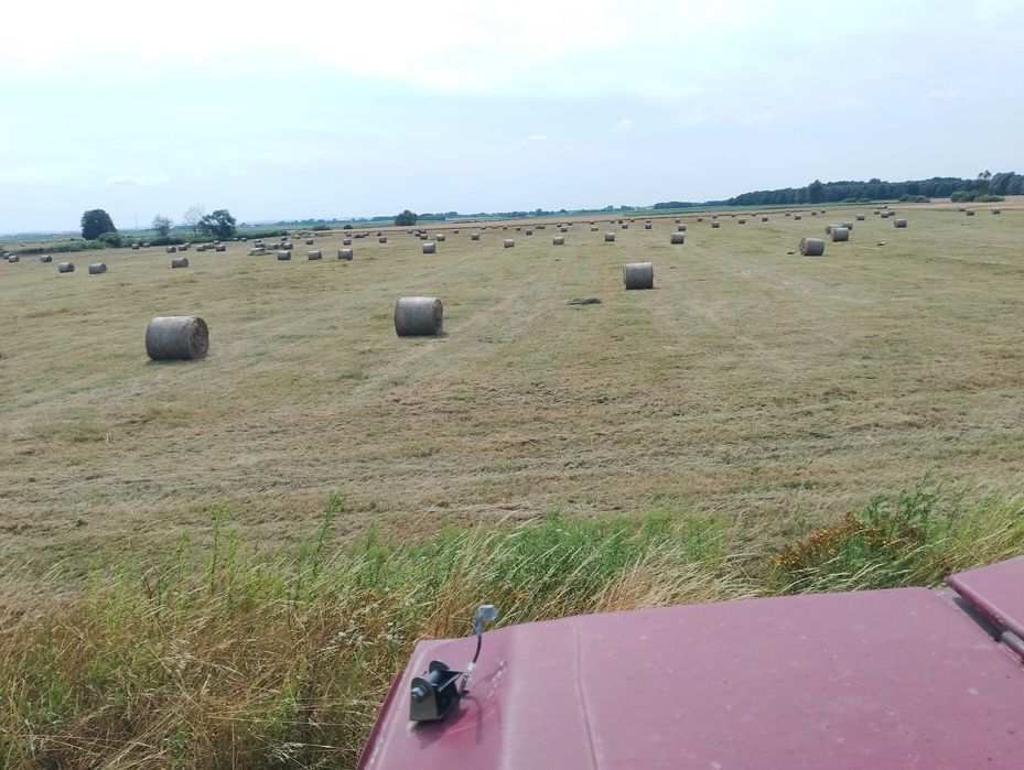 sprzedam siano w balotach