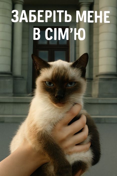 Сямска КІШЕЧКА чекає на родину.