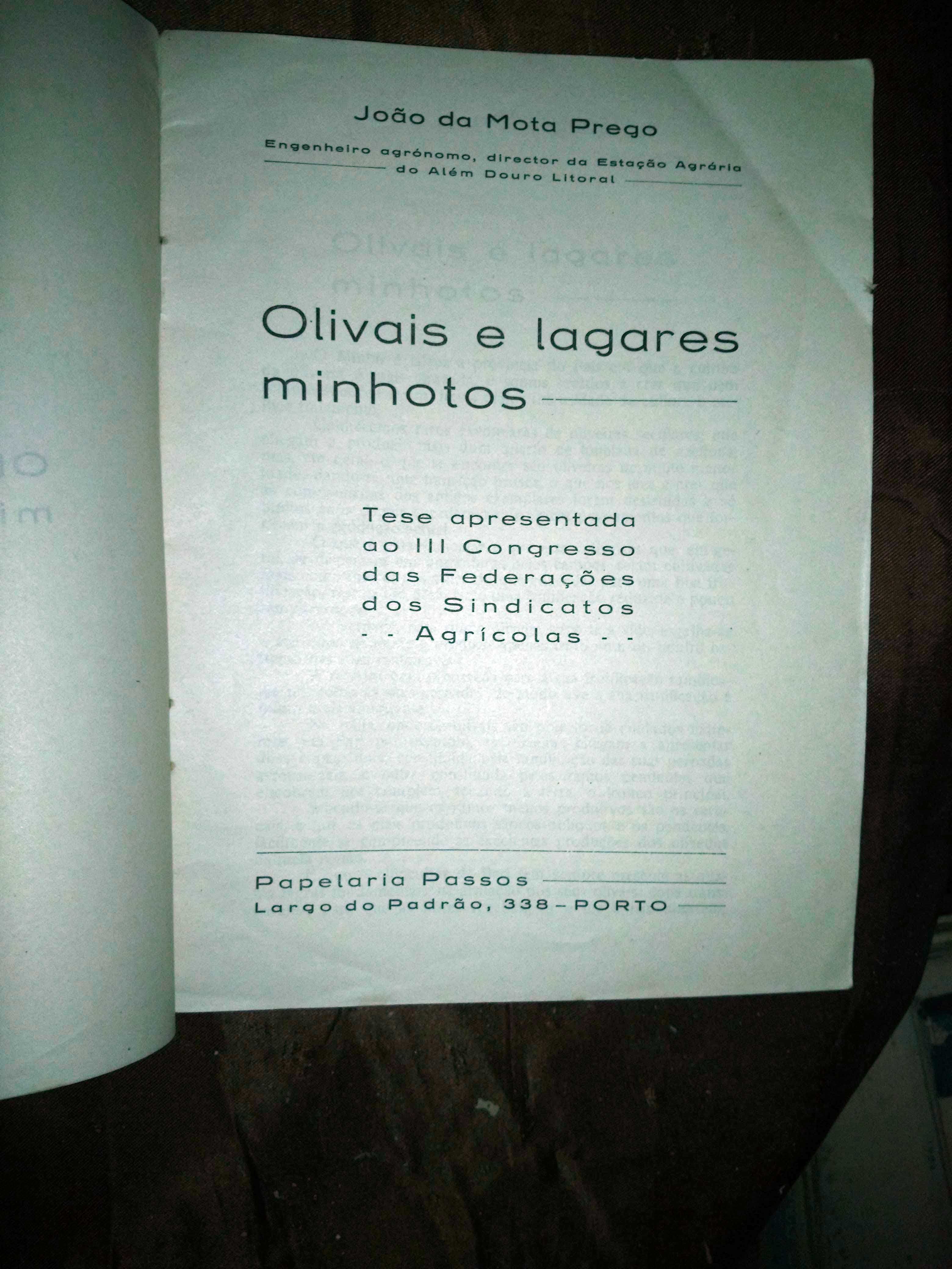 OLIVAIS E LAGARES MINHOTOS  - J. Mota Prego