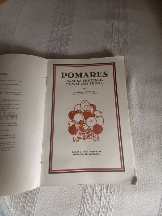 Pomares Poda das Fruteiras e Monda dos Frutos Vieira Natividade