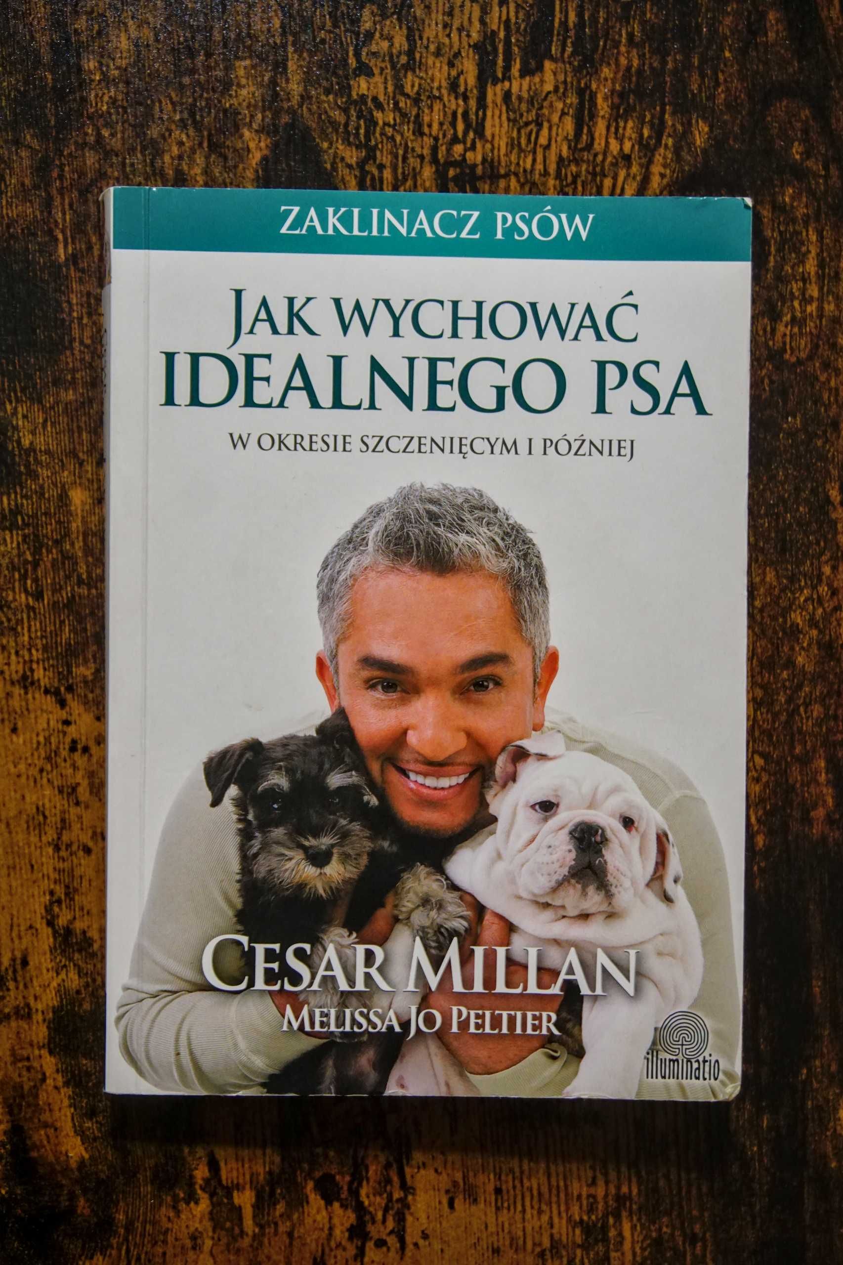 Jak wychować idealnego psa W okresie szczenięcym i później Millan