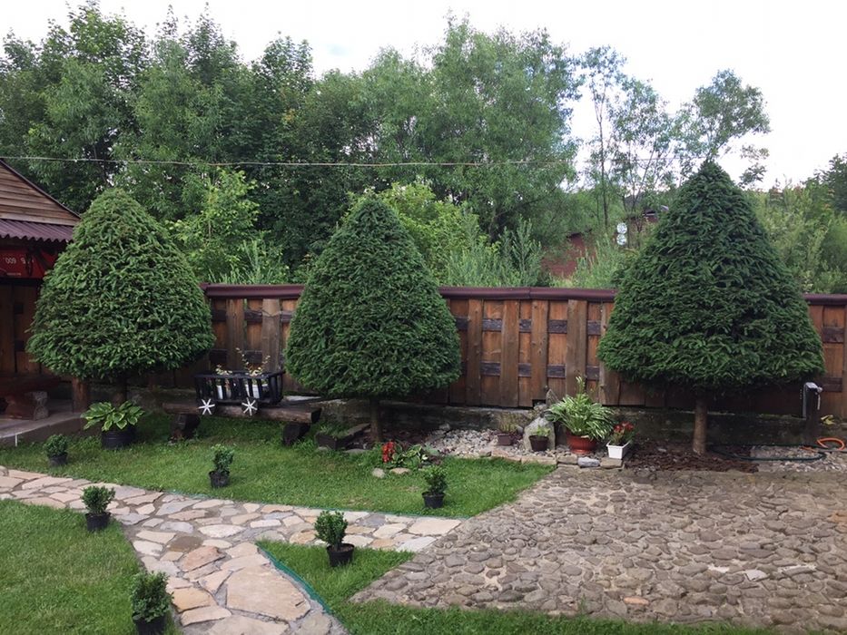 Котедж. Відпочинок а Карпатах.