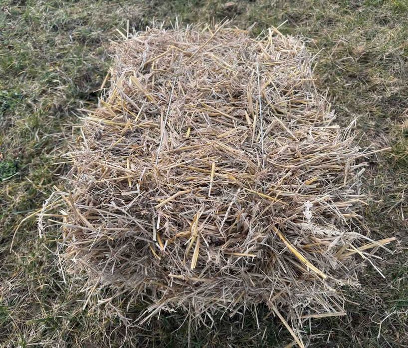 Słoma dla Kur Konia Kozy Psa 240L Duża Kostka XXXL bez Glifosatu