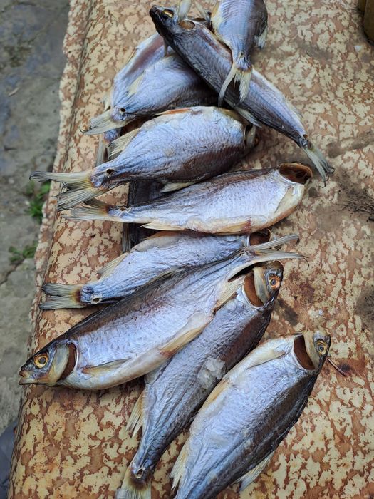 Продам тарань,  плотва  чищена