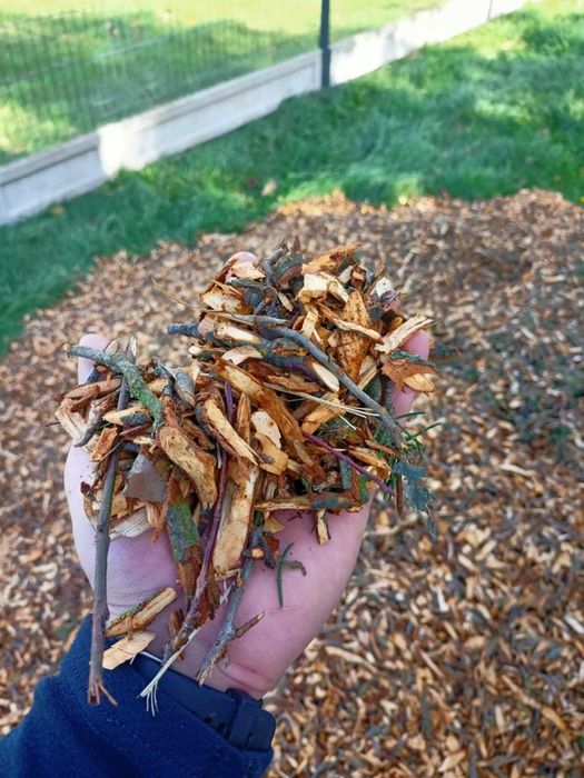 Sprzedaż świeże zrębki , Sprzedam drewno olcha, osika