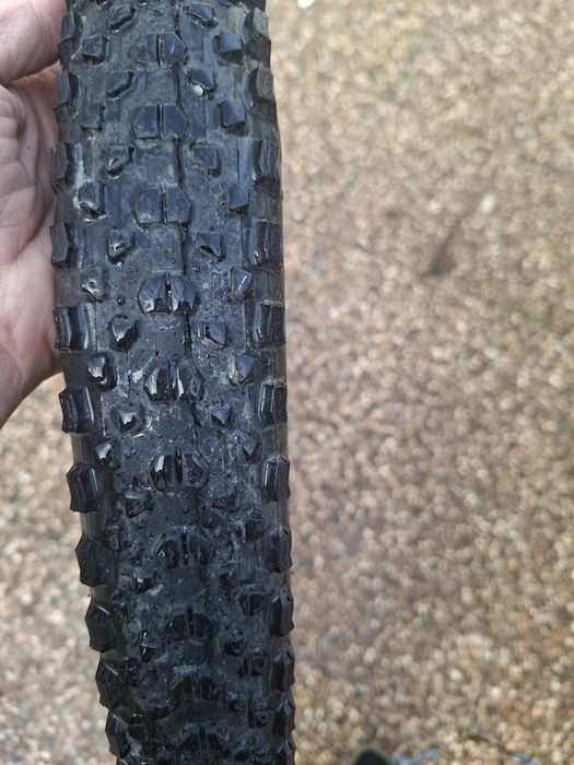 Pneus Maxxis ikon  MaxxSpeed/EXO