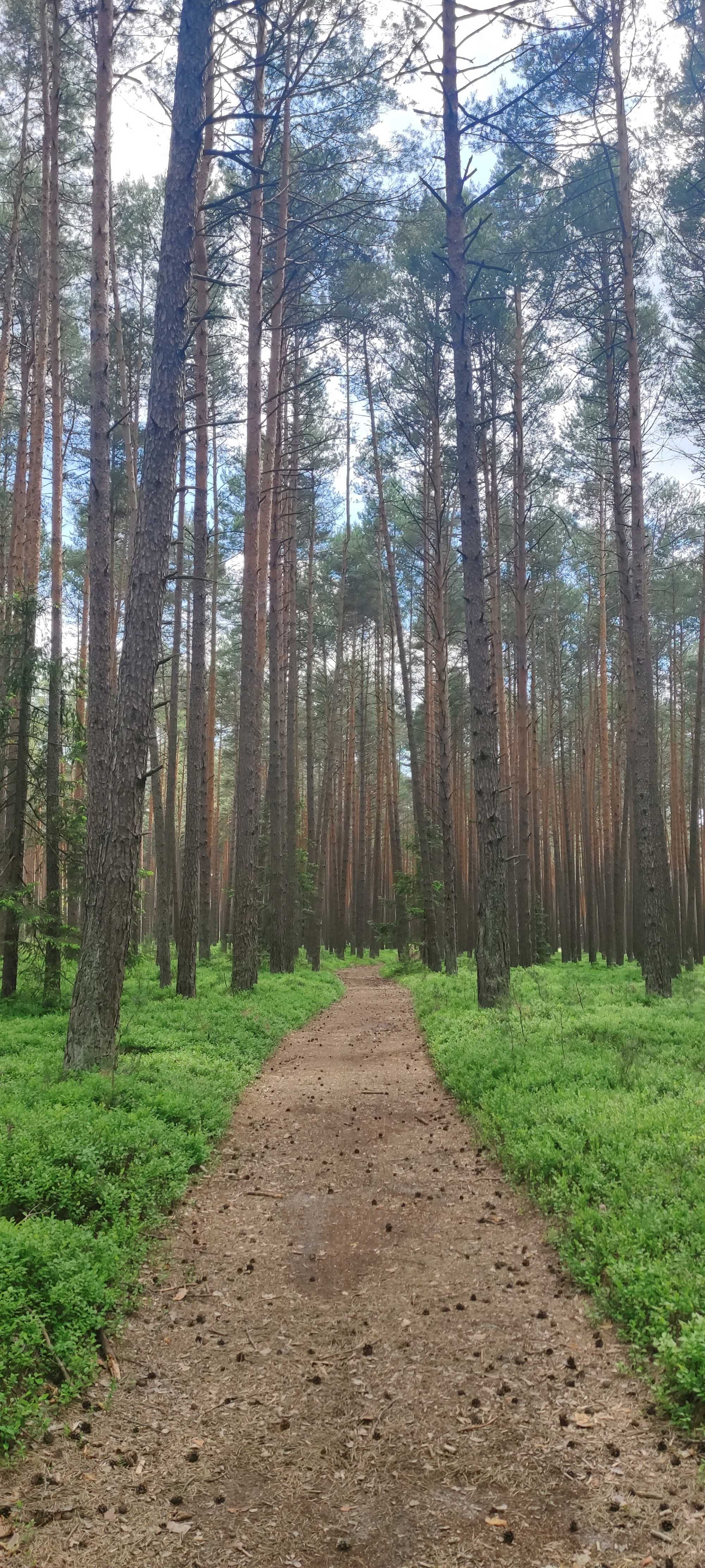 Domek do wynajęcia - SUSIEC - 4 OSOBOWY