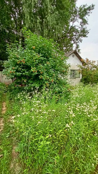 Дача, садове товариство «Барвинок», (ст. Подусівк), 5 сот,