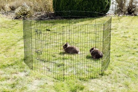 Kojec wybieg klatka 8 elementowy dla kota psa królika 57x78