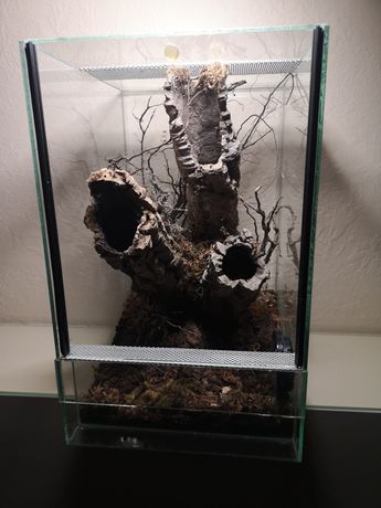 Terrarium z wystrojem 25x30x40h terarium ptasznik pająk gekon wąż żaba