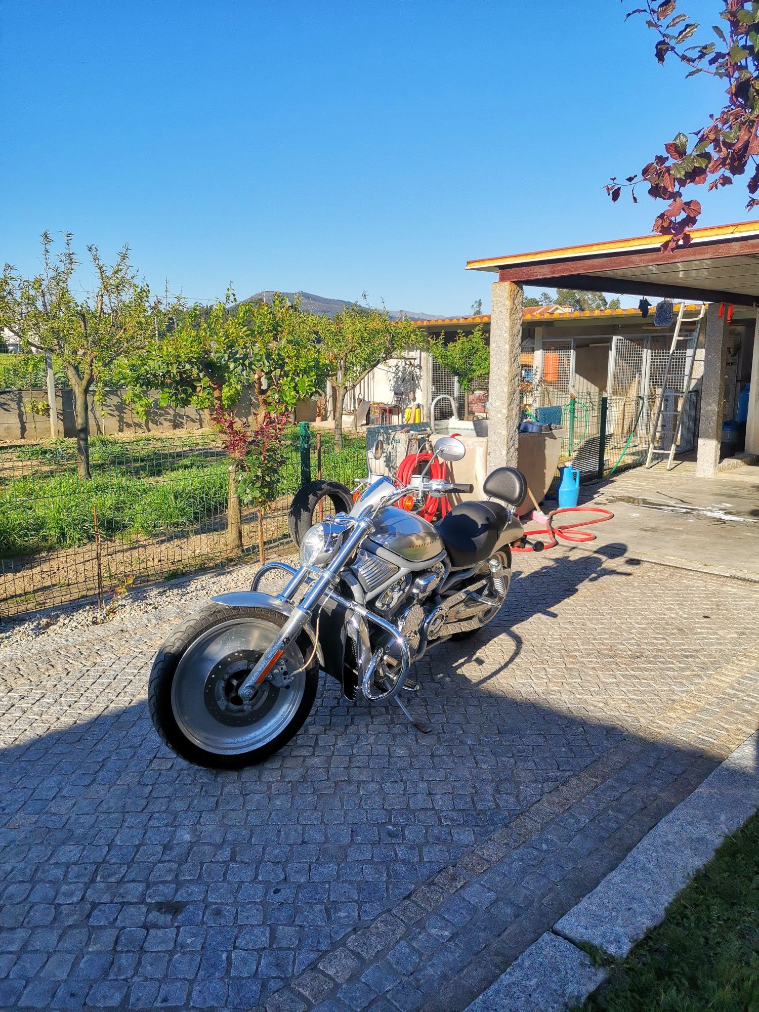 Harley davidson v-rod