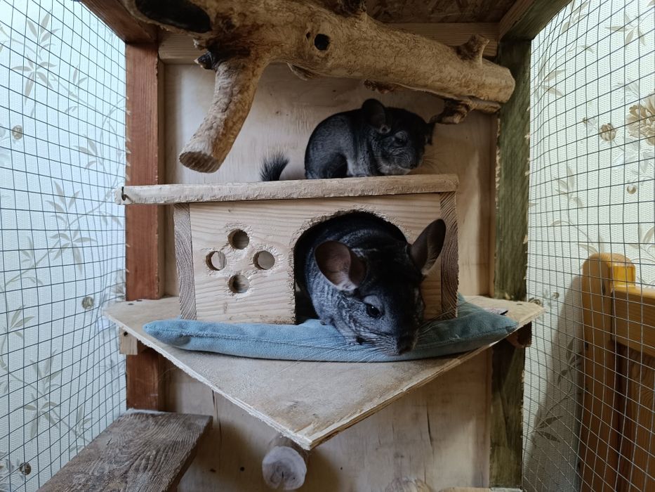 Деревянная большая клетка для грызунов