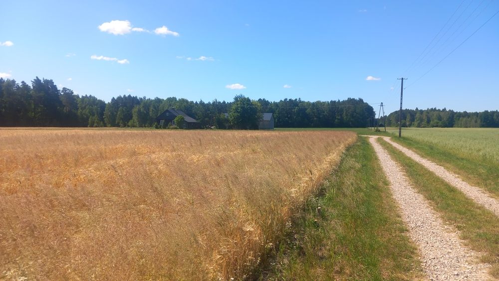 Domek pod Lipką, domek pod lasem, caloroczny,noclegi, balia ogrodowa,P