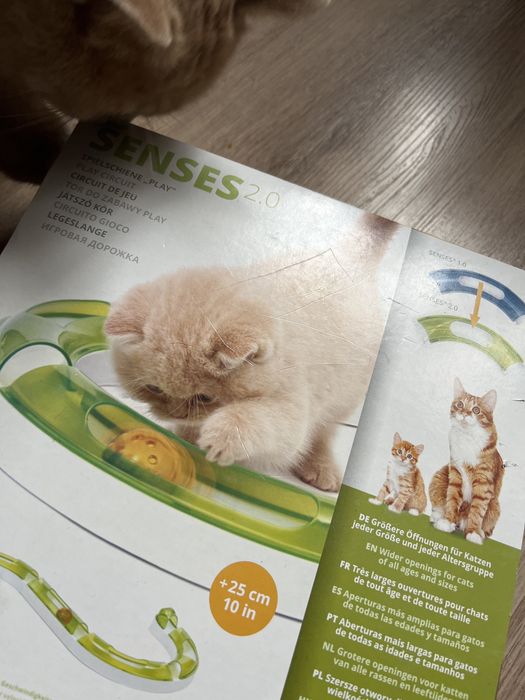 Интерактивная игрушка-лабиринт Catit Senses для кошек