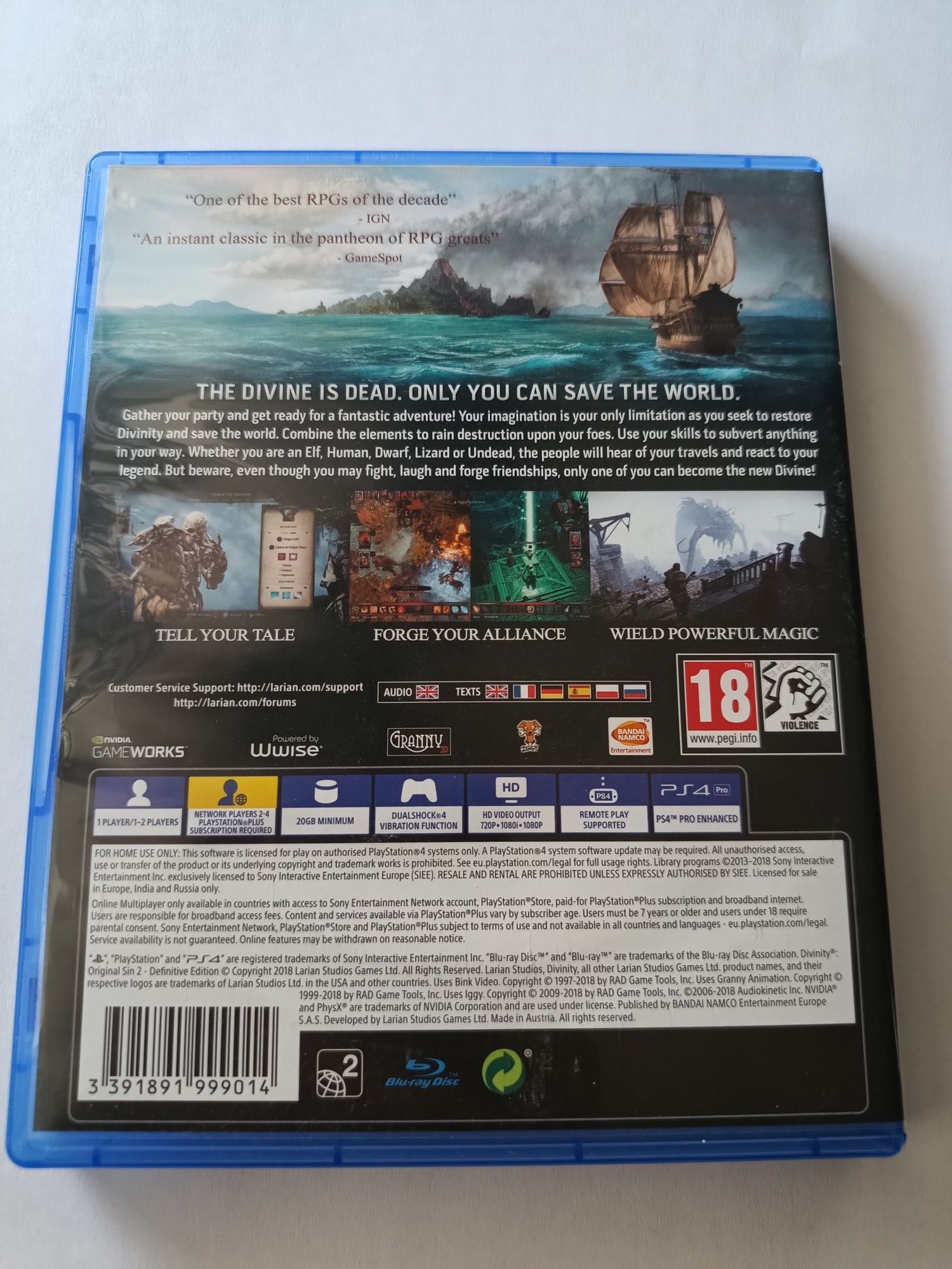 Divinity: Original Sin II 2 - Definitive Edition (PS4/PL)