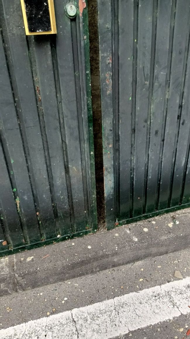 Portão grande em ferro de duas folhas