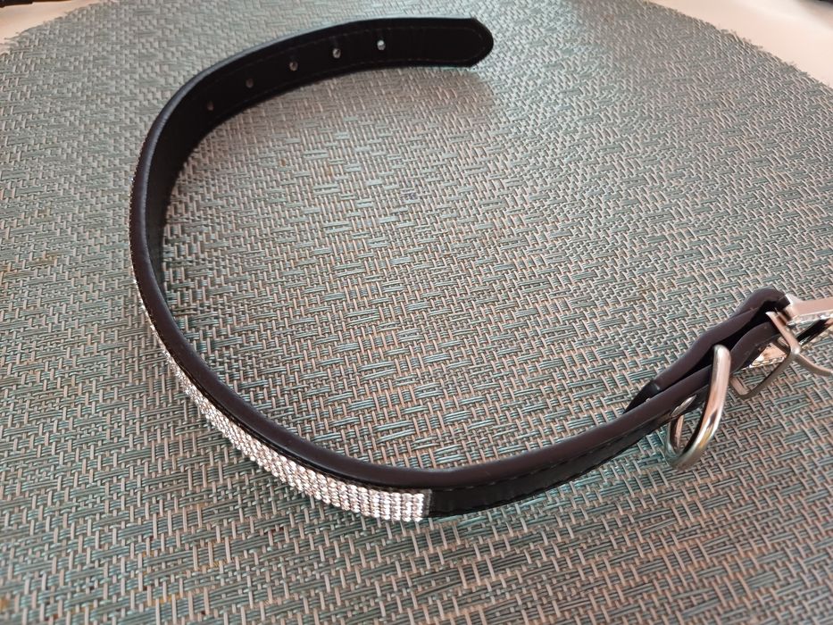 Obroża dla małego psa z cyrkoniami