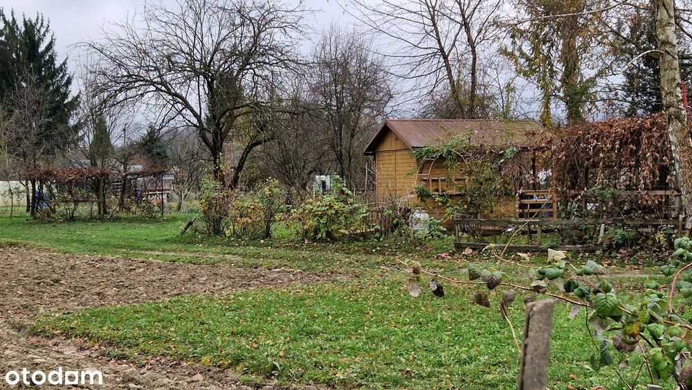 Działka, Strzyżów