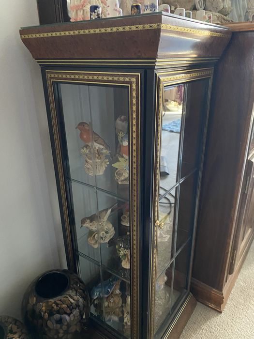 Vitrine Expositora com Tampo Espelhado