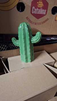 Skarbonka kaktus 15 cm