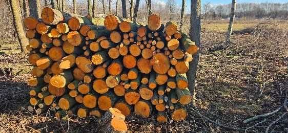 Sprzedam drewno  opałowe