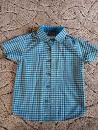 Koszula z krótkim rękawem bluzeoo 4lata/104