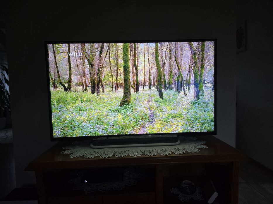 Telewizor Sony Bravia 46 cali, 100 Hz
