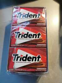 Trident Cinnamon