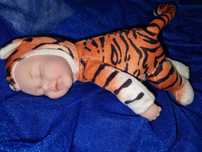 Колекційна м'яка лялька тигр (tiger) від Anna Geddes