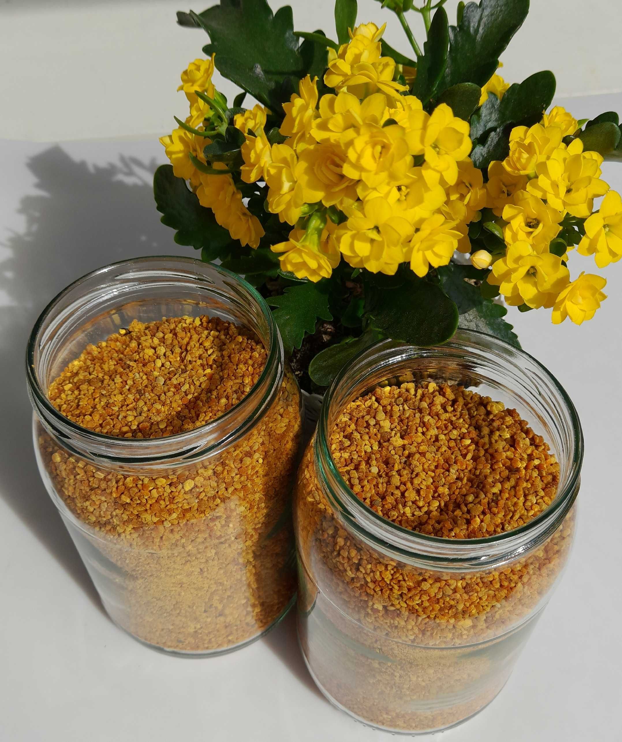 Pyłek pszczeli kwiatowy 0,5 kg promocyjna cena dobrze wymrożony wysusz