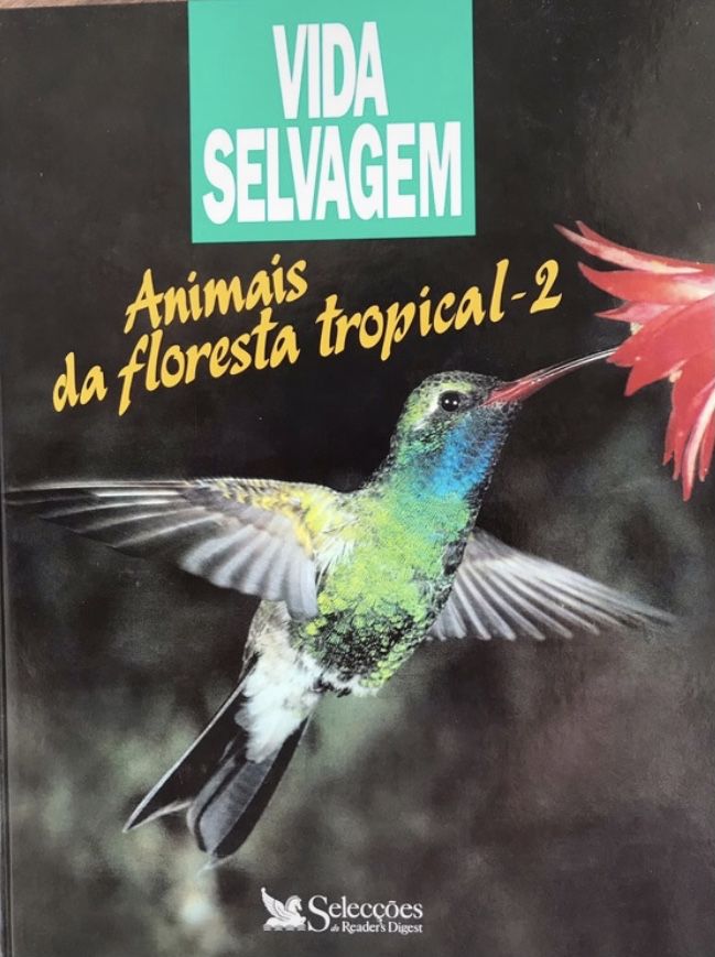 Animais da floresta tropical 2