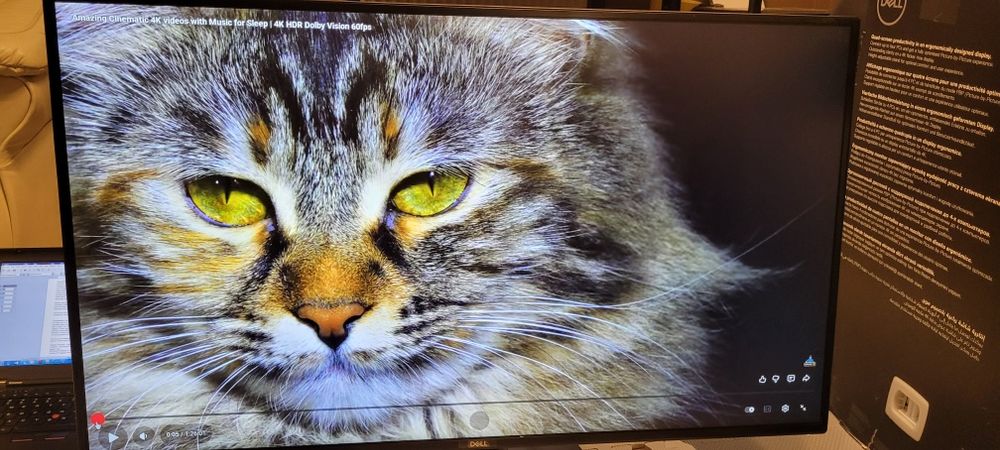 Monitor 4K 43" Dell UltraSharp U4320Q