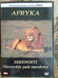 Afryka Serengeti niezwykły park narodowy Film